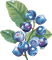blueberries Bb2 - бесплатно png анимированный гифка