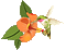 Hummingbird bp - Zdarma animovaný GIF animovaný GIF