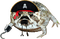 Captain Roundhook Pirate Frog Desert Rain Frog - безплатен png анимиран GIF