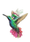 fée et colibri - gratis png animerad GIF