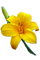 kikkapink deco scrap flower lily vintage spring - gratis png geanimeerde GIF