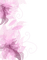 Kaz_Creations Deco Floral  Flowers - ilmainen png animoitu GIF