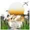 cisne swan cygne Rosalia73 - Free PNG Animated GIF