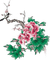 soave deco branch flowers oriental pink green - PNG gratuit GIF animé