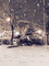 Winter.Hiver.Paysage.Landscape.Victoriabea - Free animated GIF Animated GIF