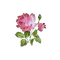 vintage pink roses - png gratis GIF animado