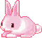 Bunny cute - 免费动画 GIF 动画 GIF