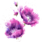 Fleurs.purple.Deco.Flowers.Victoriabea - PNG gratuit GIF animé