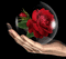 rosemab - Δωρεάν κινούμενο GIF κινούμενο GIF