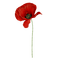 kikkapink deco scrap red poppy flower - bezmaksas png animēts GIF