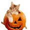 Autumn - Cat - Бесплатный анимированный гифка анимированный гифка