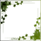 frame-green-leaf - PNG gratuit GIF animé