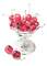 Cherry Bowl - png gratis GIF animado