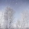 Wintery Skies and Forest - png gratis GIF animasi