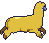 golden alpaca - Бесплатный анимированный гифка