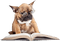 dog wearing glasses bp - безплатен png анимиран GIF