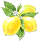 soave deco summer fruit lemon branch yellow green