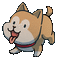Happy Shiba Inu - Gratis animerad GIF animerad GIF