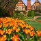 Orange Tulips and Tudor House - png gratuito GIF animata