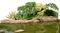 landscape - PNG gratuit GIF animé