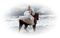 woman on a horse - gratis png animerad GIF
