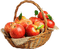 Apples.Pommes.Basket.fruit.Victoriabea - PNG gratuit GIF animé