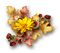 patymirabelle automne fleurs - gratis png geanimeerde GIF