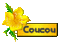 coucou - Δωρεάν κινούμενο GIF κινούμενο GIF