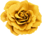 Rose-RM - Darmowy animowany GIF
