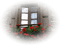 minou-fönster-window - Free PNG Animated GIF