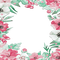 soave frame flowers spring summer painting - zadarmo png animovaný GIF