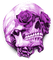 Y.A.M._Gothic skull purple - kostenlos png Animiertes GIF