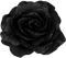 Kaz_Creations Black Deco Flower  Colours