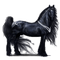 tribal stallion - darmowe png animowany gif