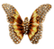 autumn gold brown deco butterfly kikkapink - PNG gratuit GIF animé
