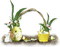 Kaz_Creations Deco Easter Frames Frame - 免费PNG 动画 GIF