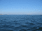 Sea3) Nitsa P - Animovaný GIF zadarmo animovaný GIF