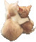 Cats, Katzen, - 無料のアニメーション GIF アニメーションGIF