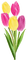 tulipan - kostenlos png Animiertes GIF