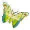 papillon - Nemokamas animacinis gif animuotas GIF