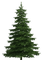 Tree-RM - besplatni png animirani GIF