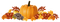 autumn deco kikkapink png pumpkin harvest