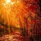 autumn background - nemokama png animuotas GIF