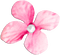 soave deco flowers scrap pink - PNG gratuit GIF animé