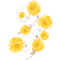 Flowers dm19 - PNG gratuit GIF animé