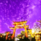 Purple Asia Background - Бесплатный анимированный гифка анимированный гифка