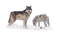 Lobo - безплатен png анимиран GIF