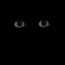 Dark eyes - Zdarma animovaný GIF animovaný GIF