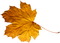 autumn - zadarmo png animovaný GIF
