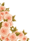 Roses Pink ♫{By iskra.filcheva}♫ - zadarmo png animovaný GIF